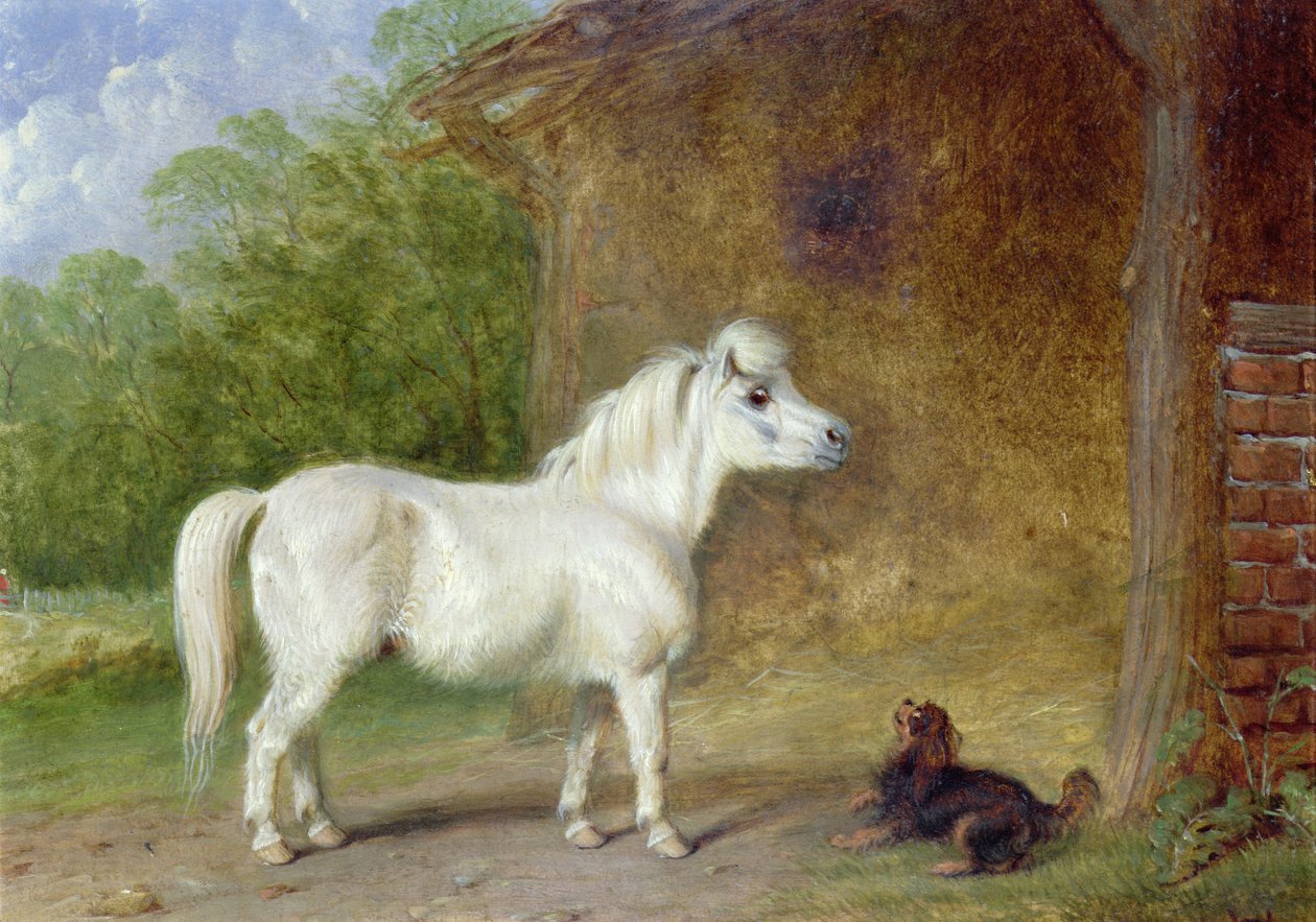 Ein Shetlandpony und ein King Charles Spaniel von Martin Theodore Ward