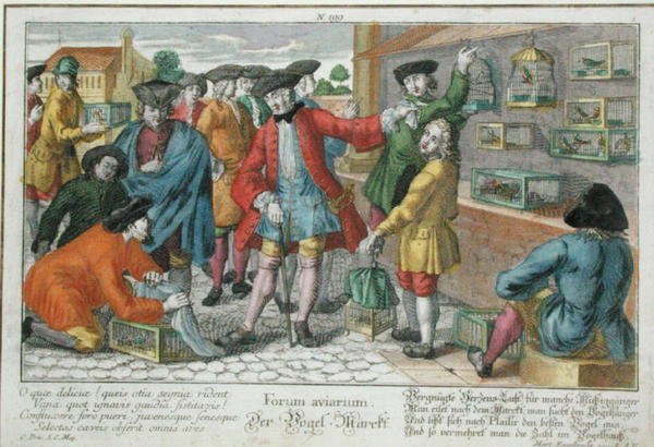 Vogelmarkt von Martin Engelbrecht