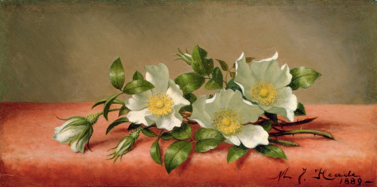 Cherokee-Rosen, 1889 von Martin Johnson Heade
