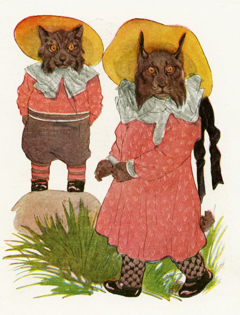 Rotluchs und Kanadischer Luchs, 1913 von Martin Ross