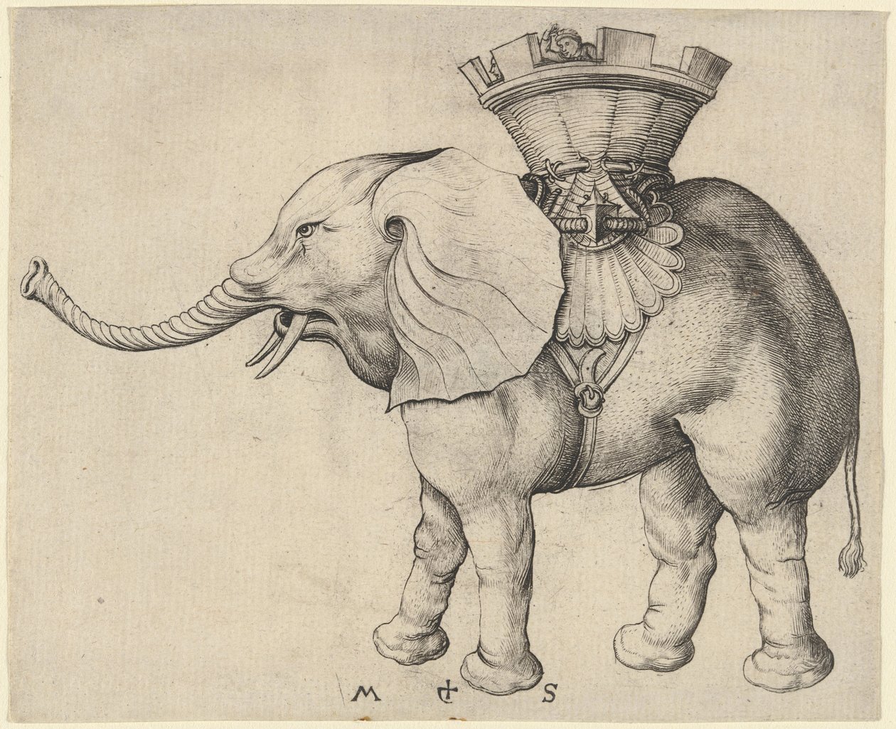 Elefant von Martin Schongauer