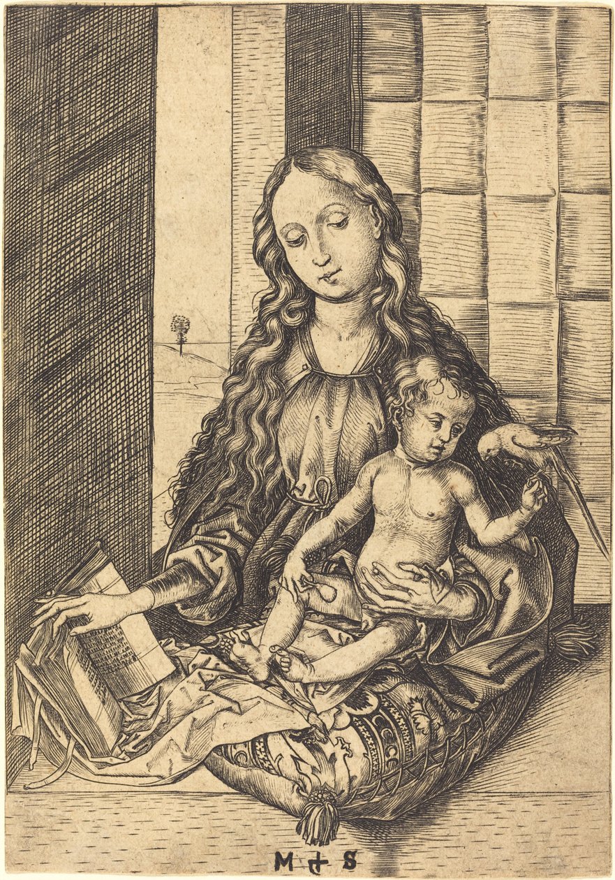 Madonna mit einem Papagei von Martin Schongauer