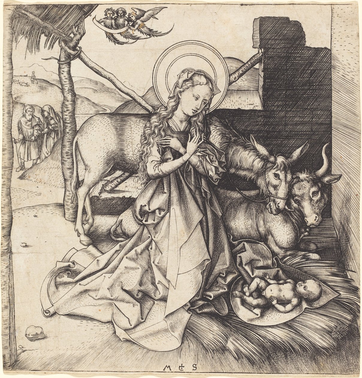 Die Geburt Christi von Martin Schongauer
