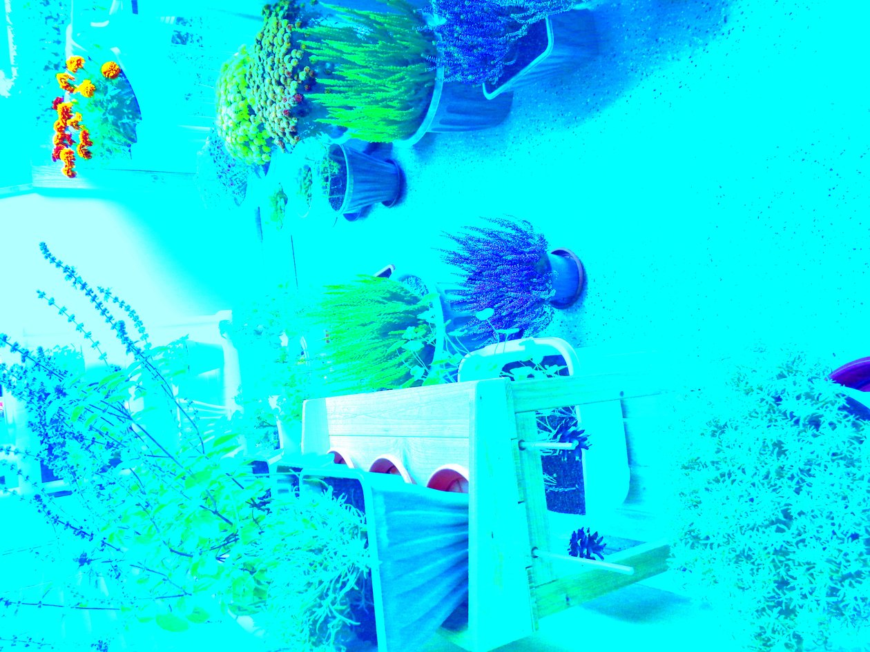 Gartenarbeit von Martina Konitzky