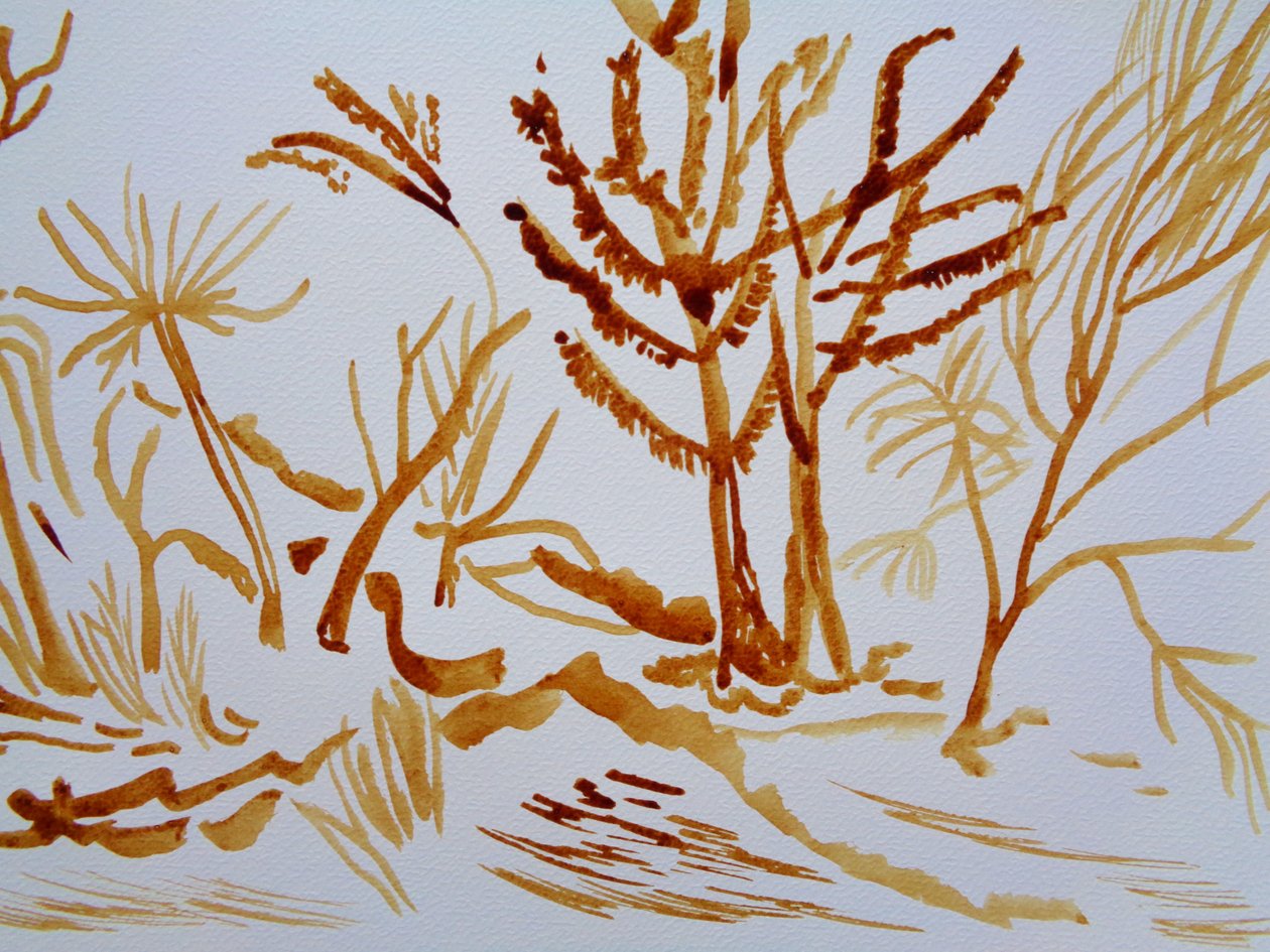 Garten von Martina Konitzky