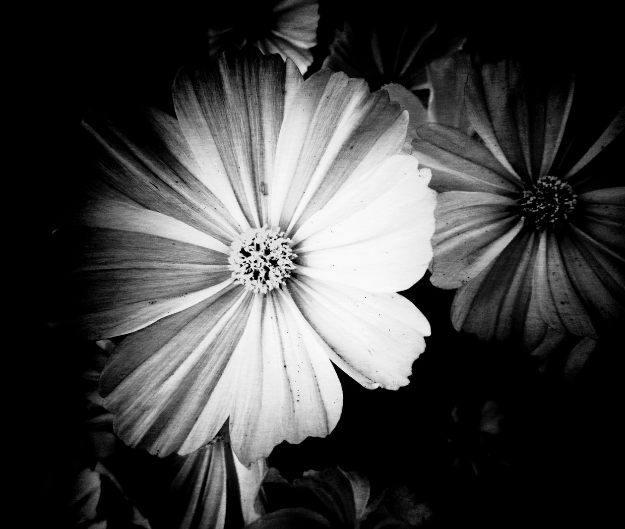 Grau von Martina Konitzky