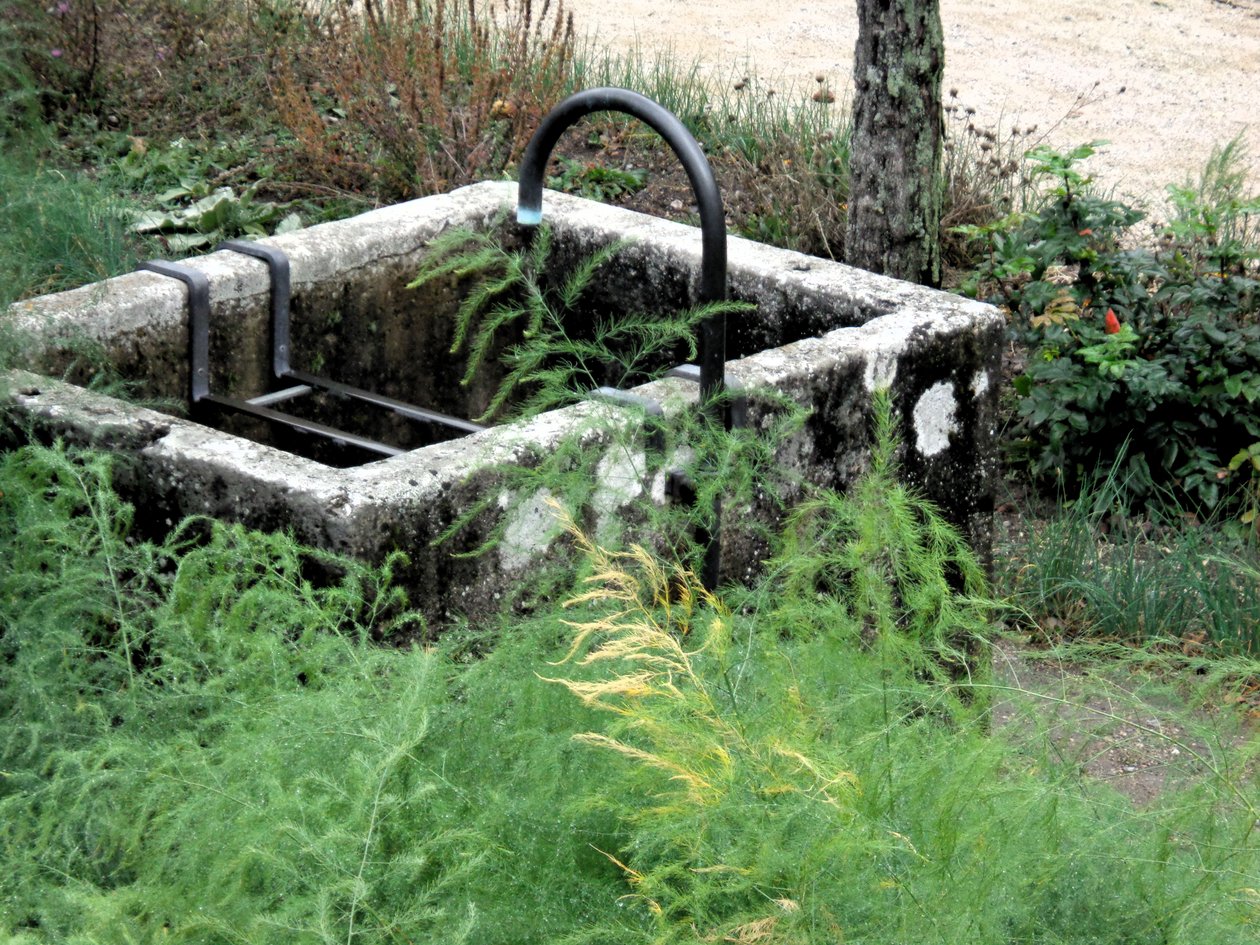 Im Garten von Martina Konitzky