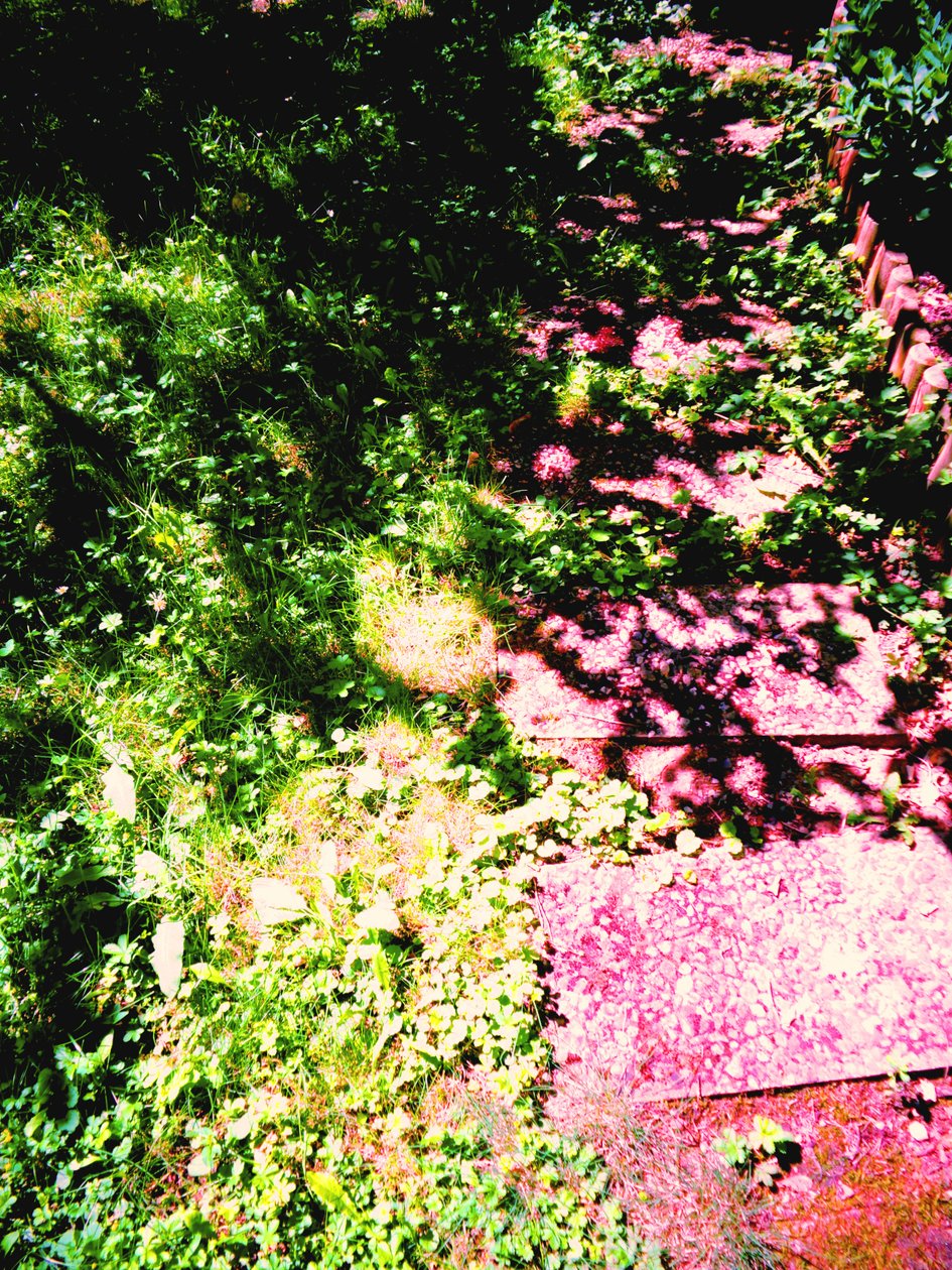 Prinz und Prinzessin oder Gras und Gartenweg von Martina Konitzky