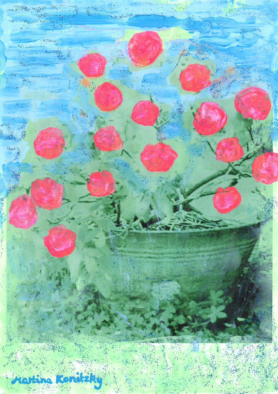 Rhododendron von Martina Konitzky