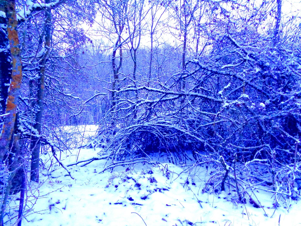 Winter Blau von Martina Konitzky