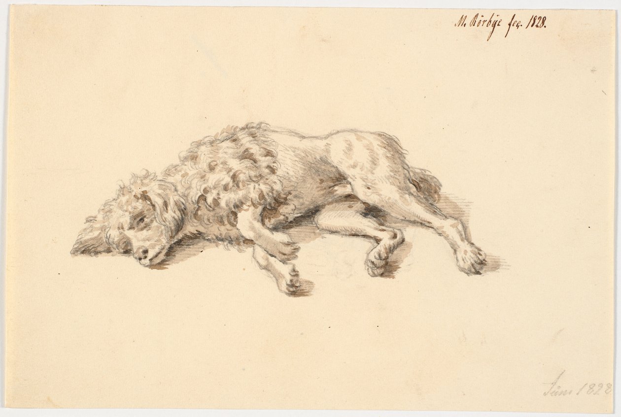 Liegender Pudel von Martinus Rørbye
