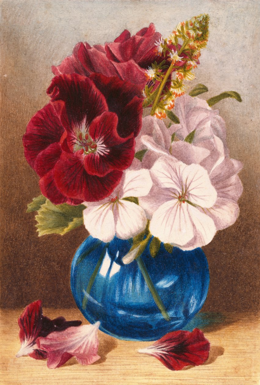 Unbekanntes Bild von Mary Elizabeth Duffield