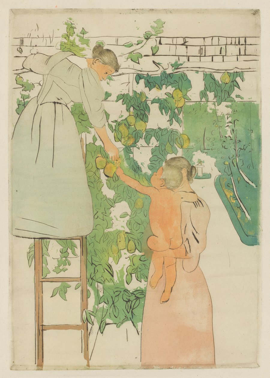 Früchte sammeln von Mary Cassatt