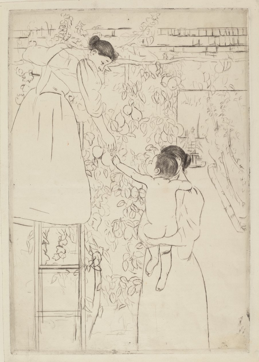 Früchte sammeln, ca. 1893 von Mary Cassatt
