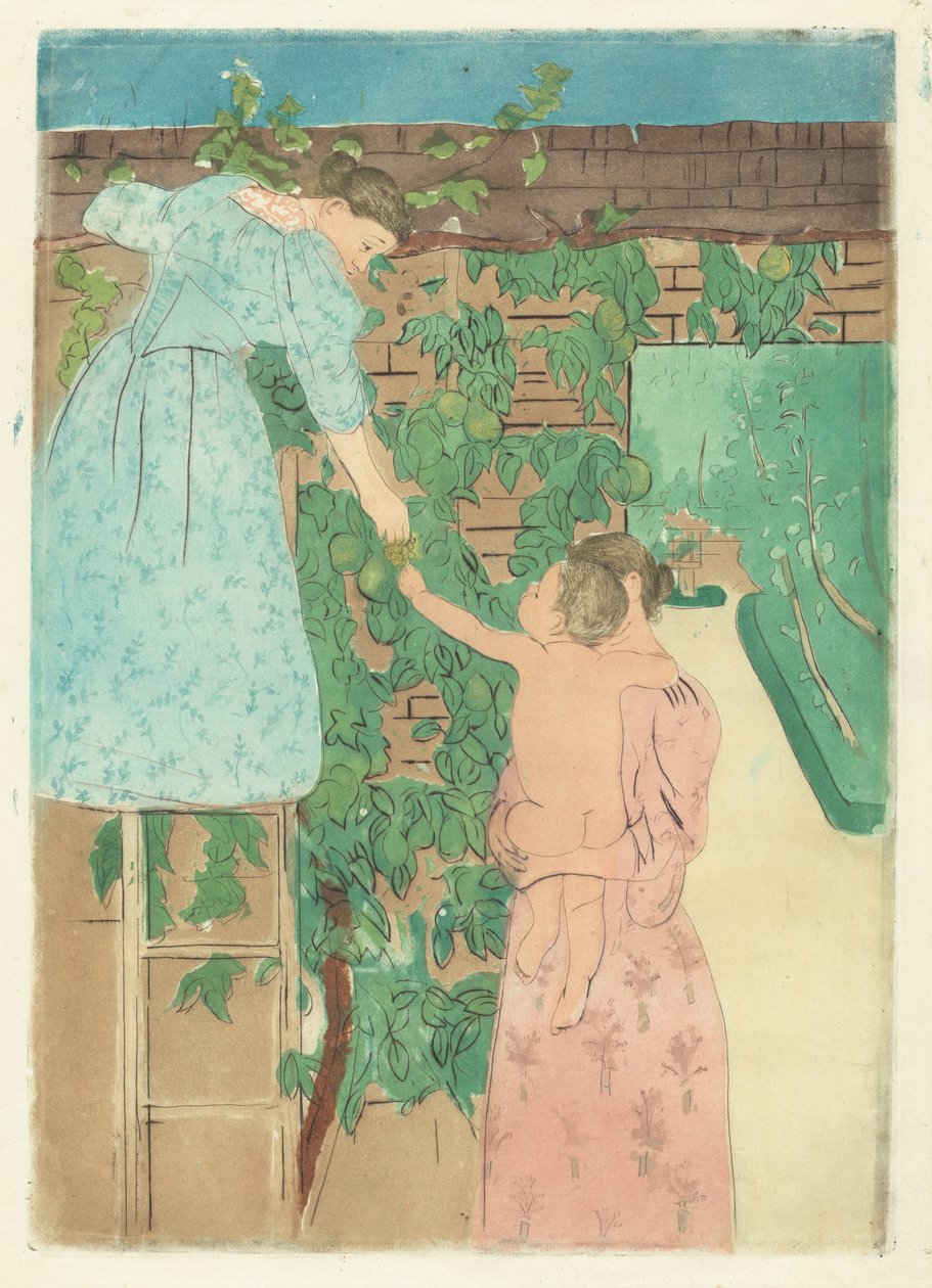 Früchte sammeln, ca. 1893 von Mary Cassatt
