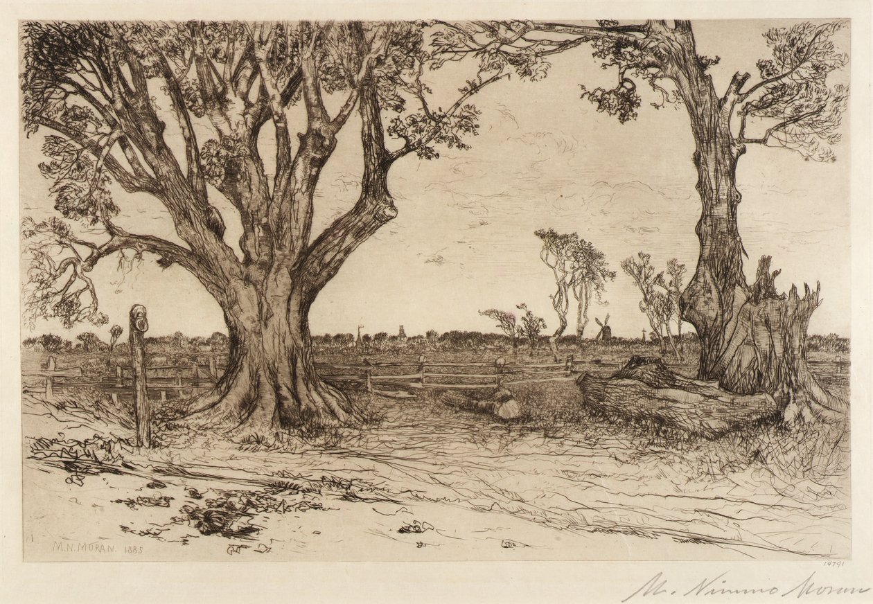 Alte Linden - In der Nähe von Easthampton von Mary Nimmo Moran