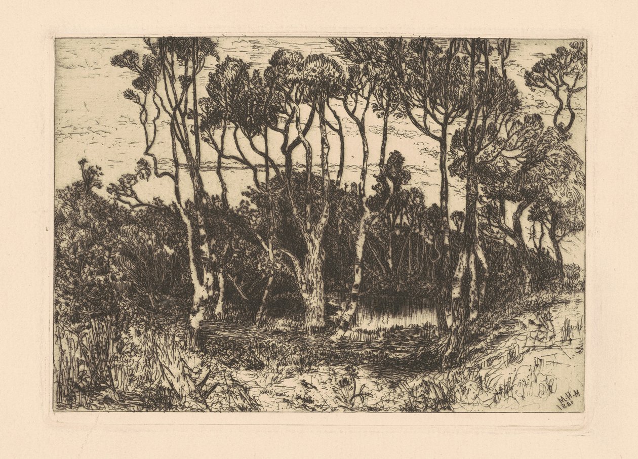 Einsamkeit von Mary Nimmo Moran