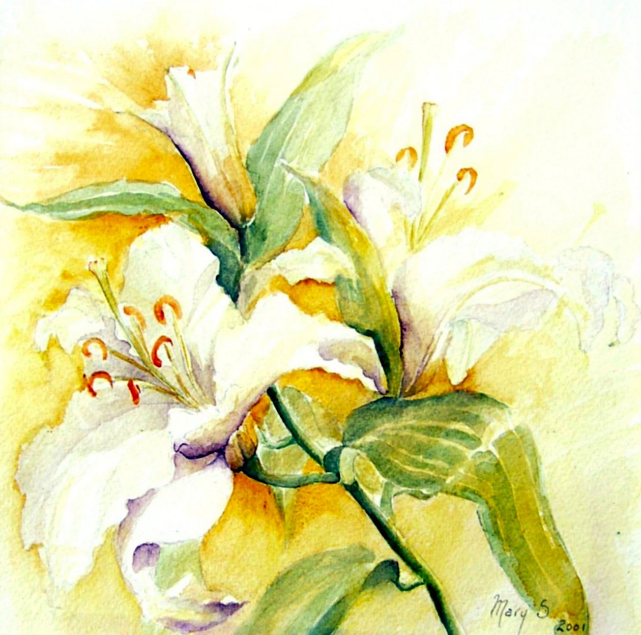 Weiße Lilien von Mary Smith