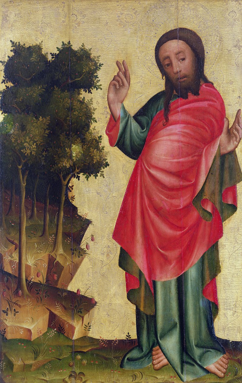 Die Erschaffung von trockenem Land und Vegetation (Detail) von Master Bertram of Minden