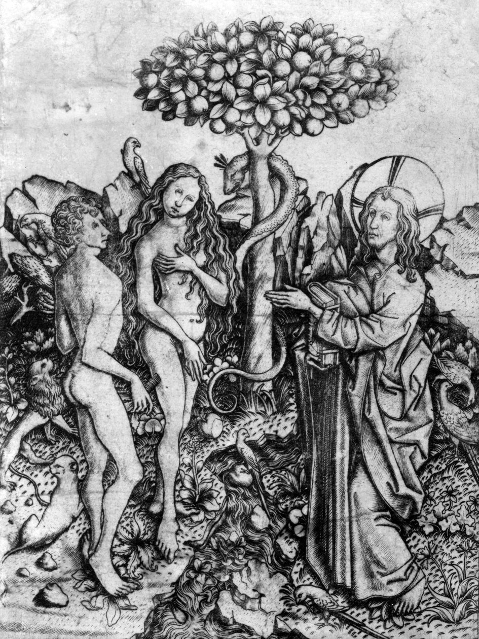 Der Fall der Menschheit, ca. 1450-67 von Master E. S.