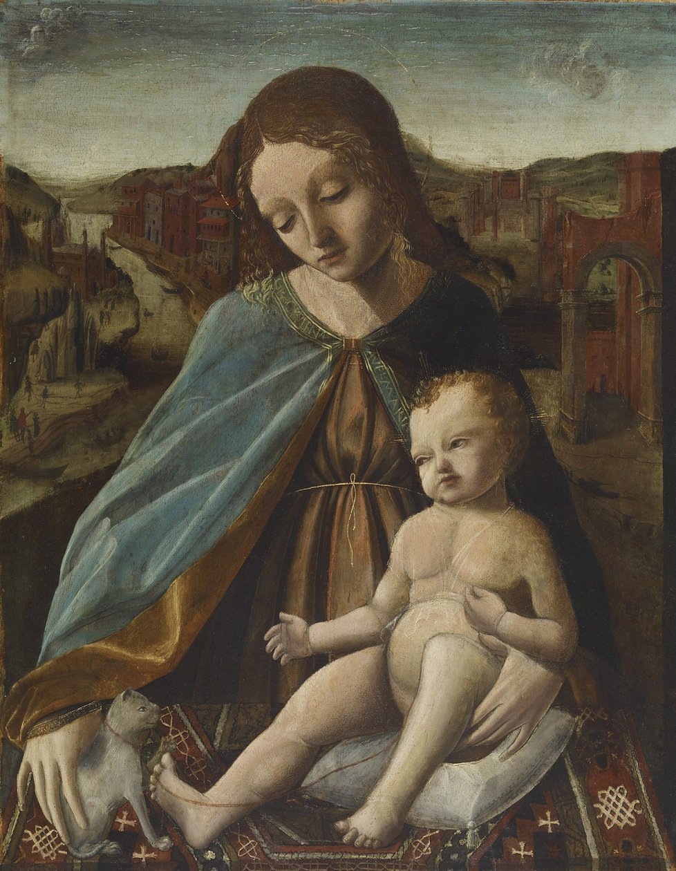 Madonna mit Kind und Katze von Master of the Pala Sforzesca