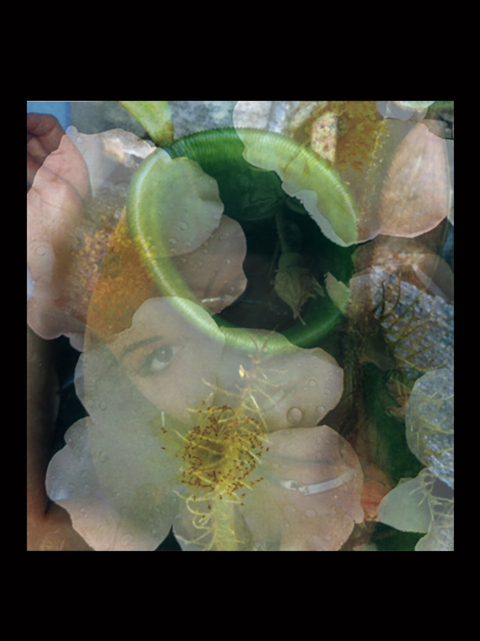 Fleischfresser 2 von Mat Collishaw