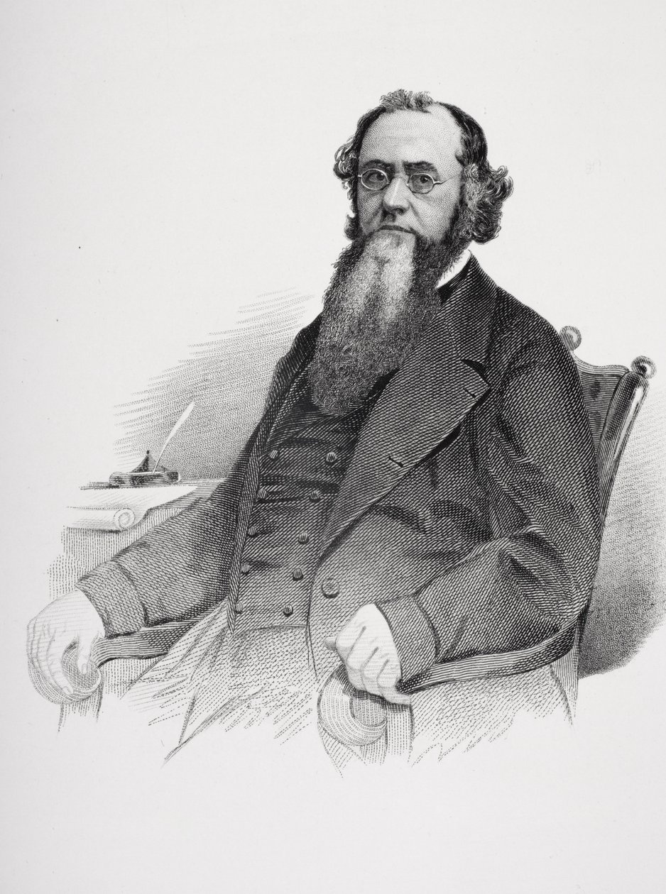 Porträt von Edwin M. Stanton (1814-69) von Mathew B. Brady