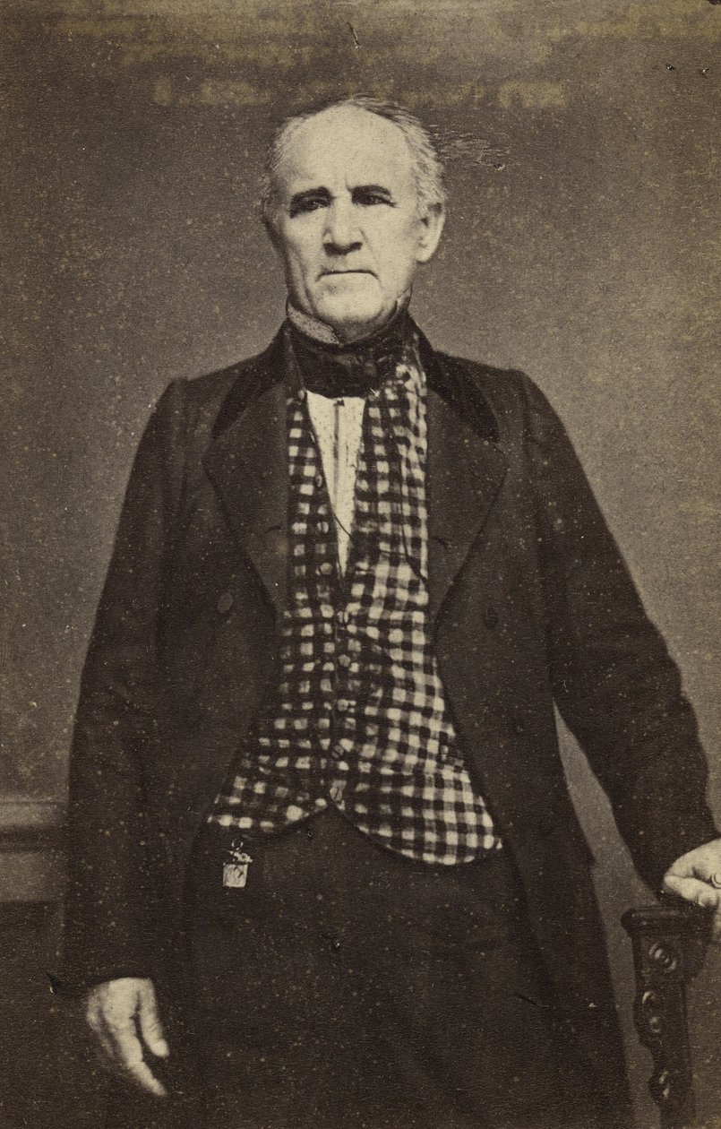 Sam Houston, ca. 1860-65 (Albumin-Silberdruck) von Mathew B. Brady