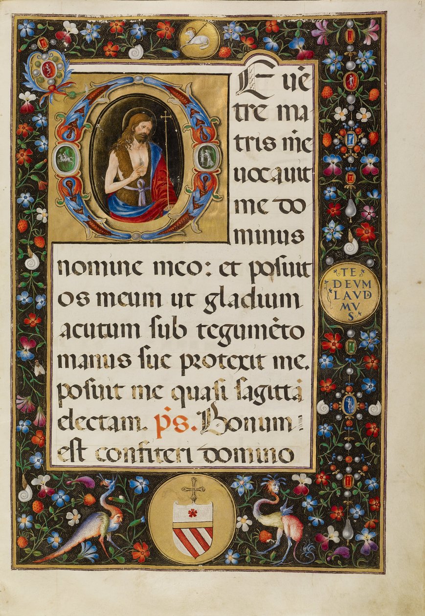 Johannes der Täufer von Matteo da Milano