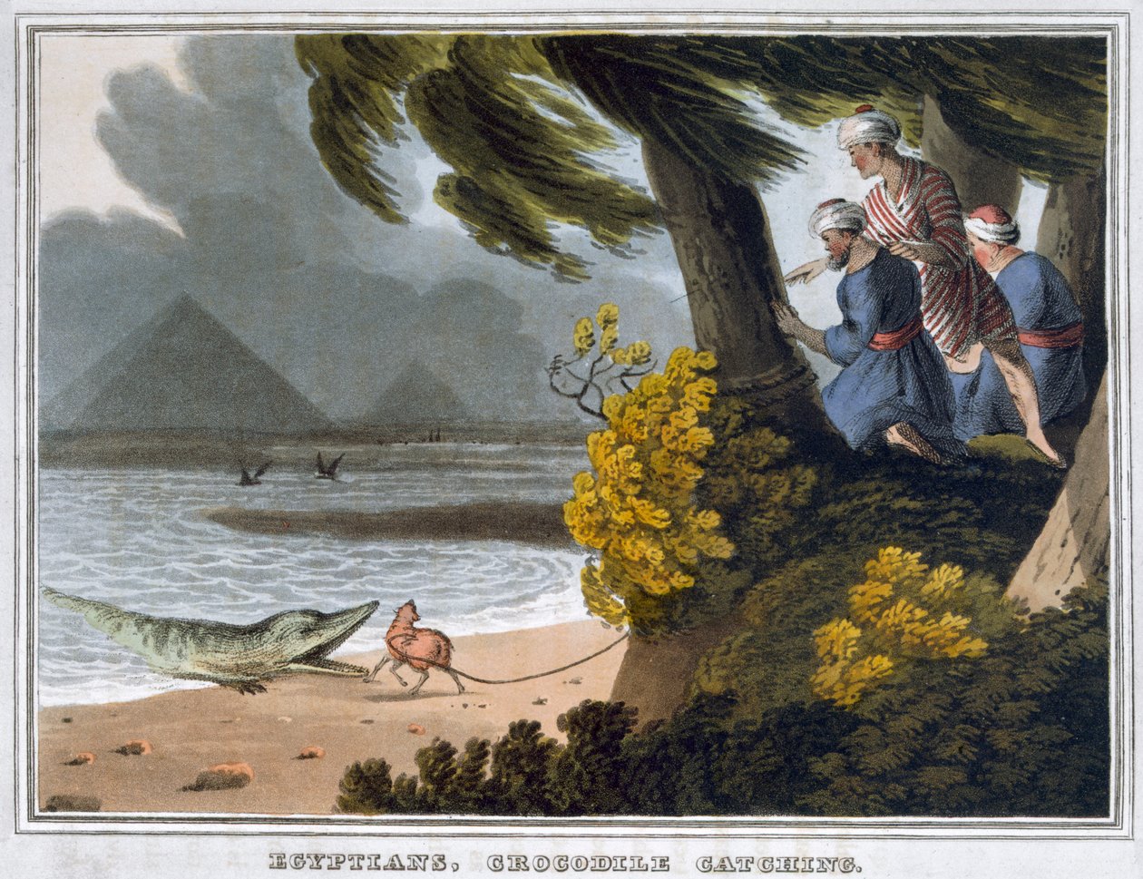 Ägypter, Krokodilfang, 1813 von Matthew Dubourg