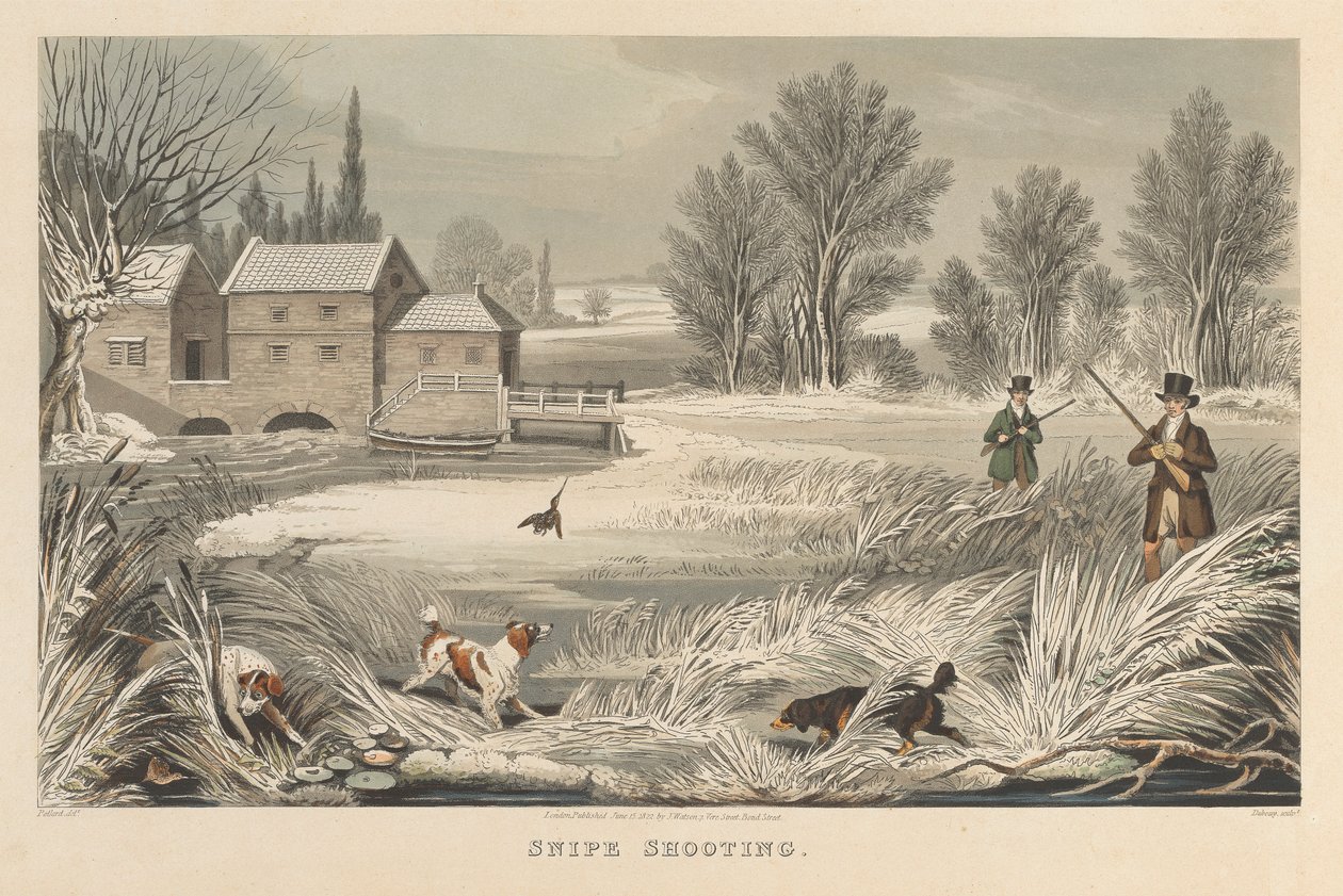 Schnepfenjagd von Matthew Dubourg
