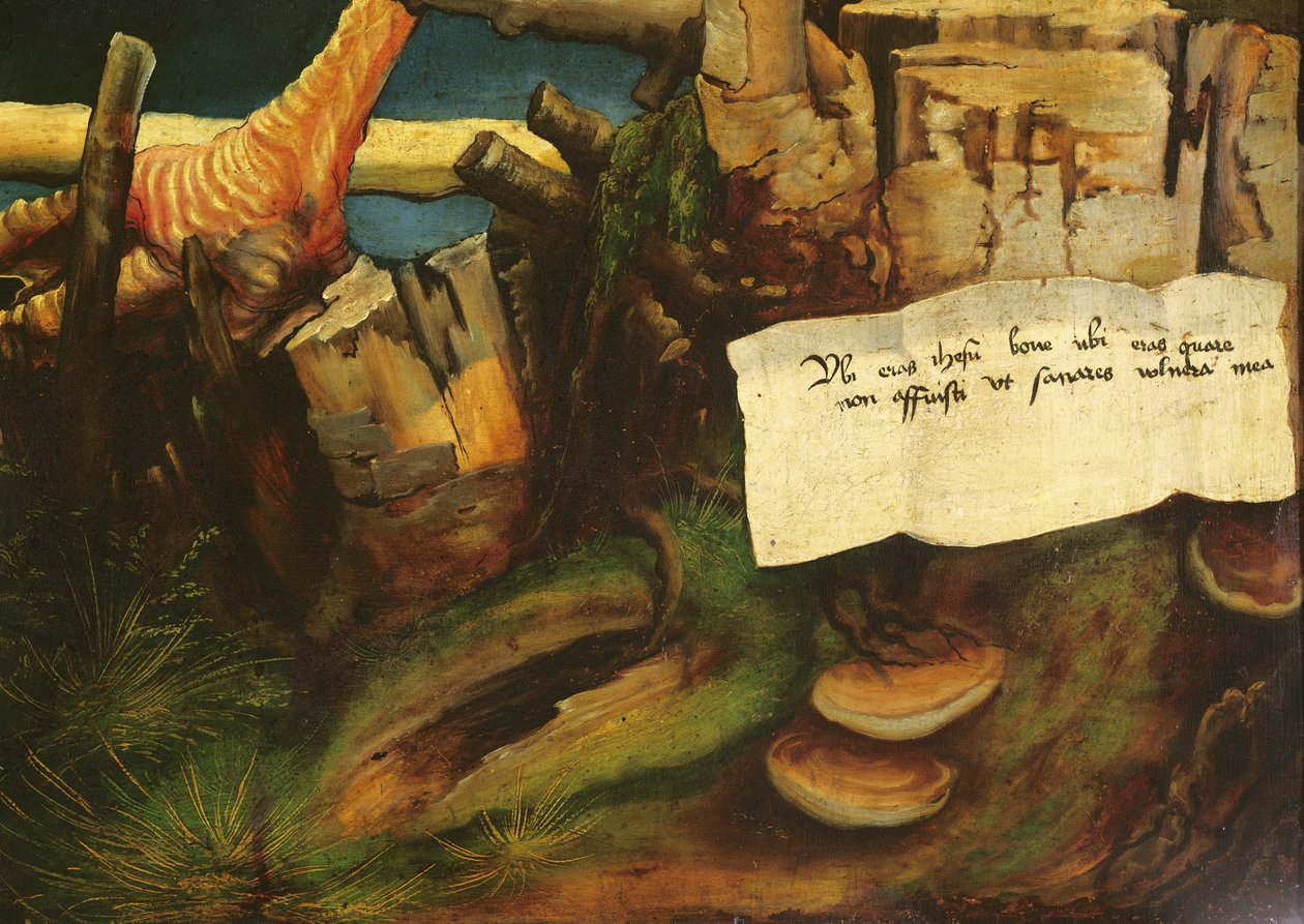 Isenheimer Altar (Detail) der Versuchung von St. Antonius von Matthias Grünewald