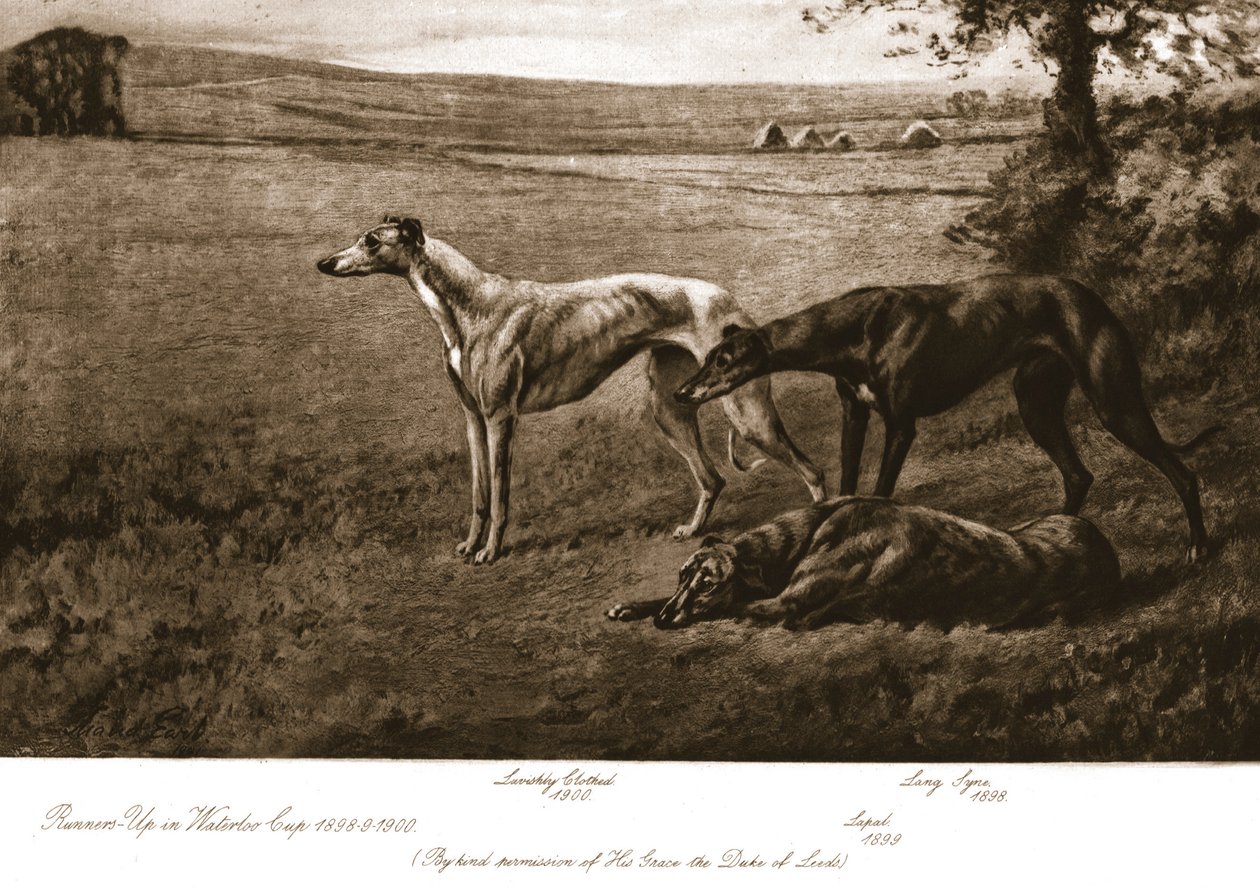 Die Hunde des Herzogs von Leeds, 1911 von Maud Earl