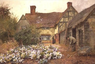 Pflege des Kohlbeets von Maud Naftel
