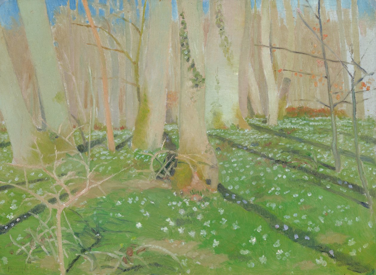 Wald mit Anemonen, 1889 von Maurice Denis