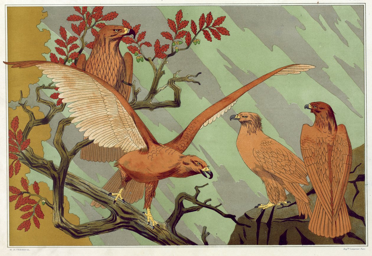 Adler, veröffentlicht 1897 von Maurice Pillard Verneuil