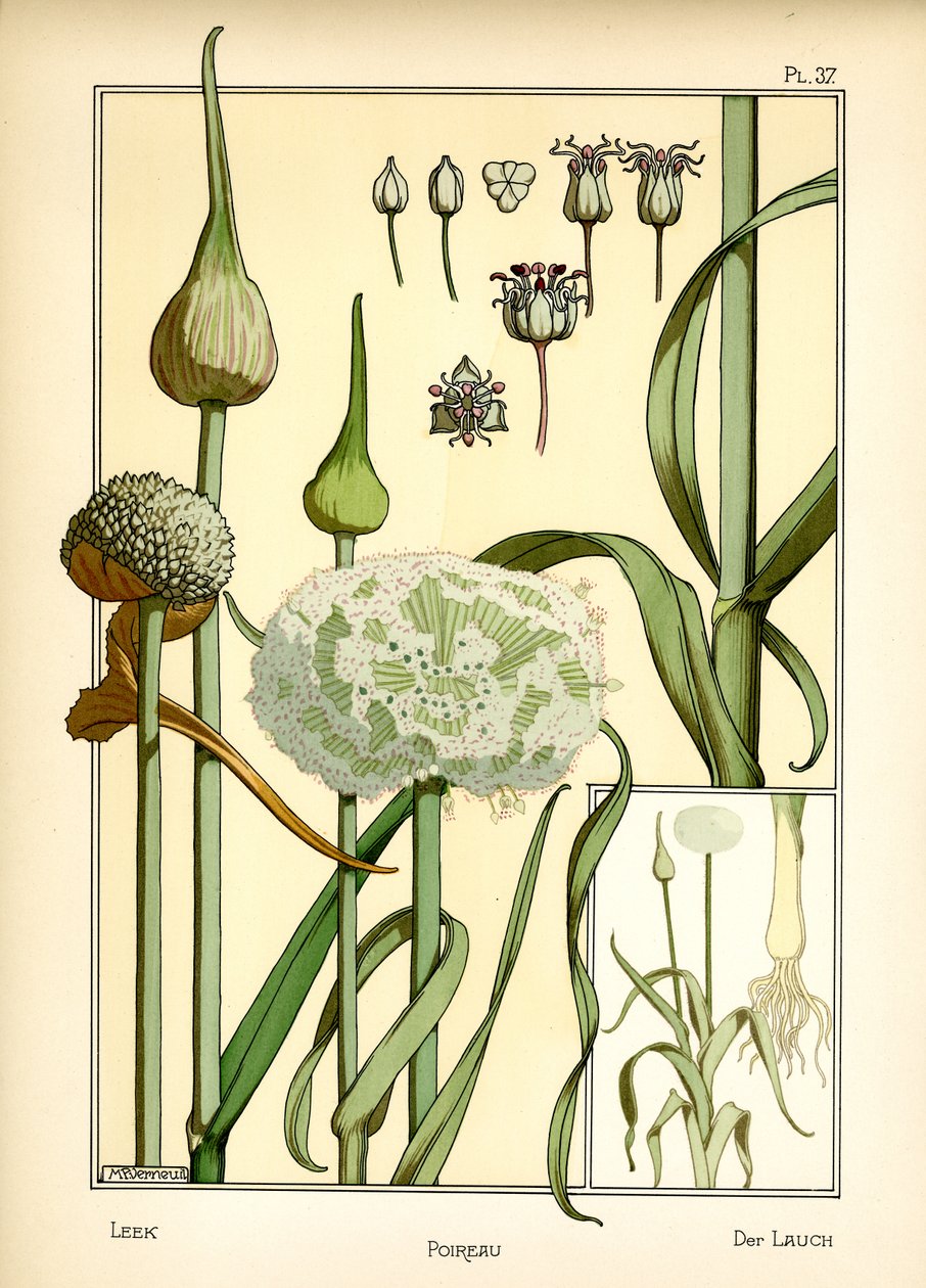 Der Lauch von Maurice Pillard Verneuil