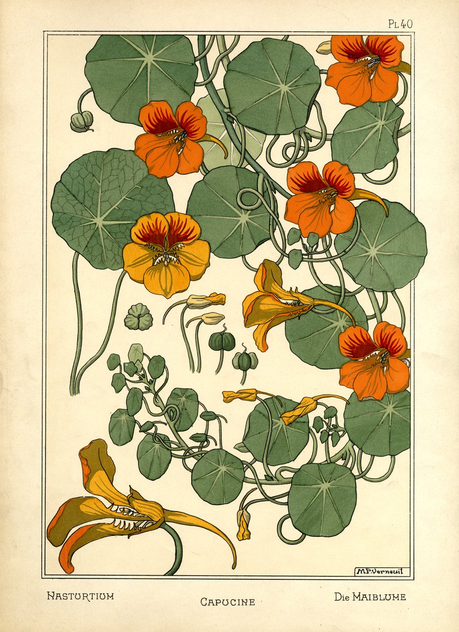 Die Kapuzinerkresse von Maurice Pillard Verneuil
