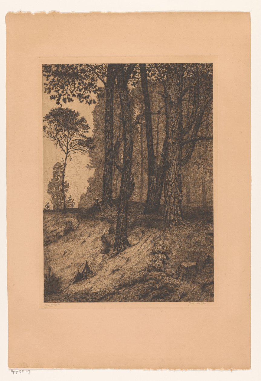 Waldrand von Maurits van der Valk (signed by artist)