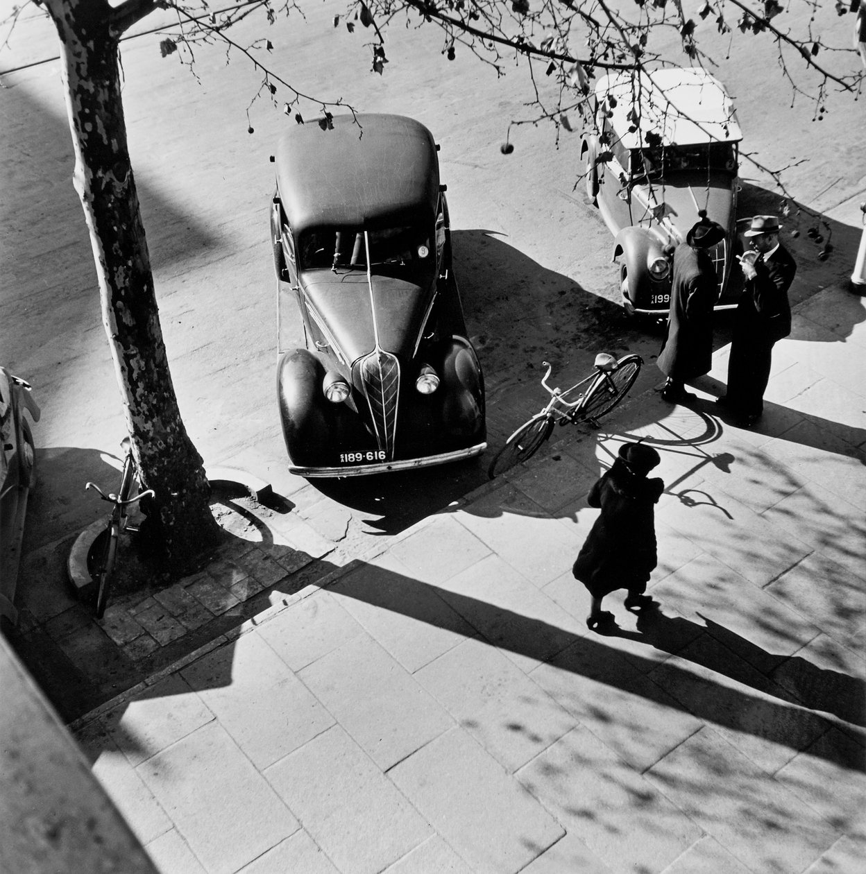 Adelaide von Max Dupain
