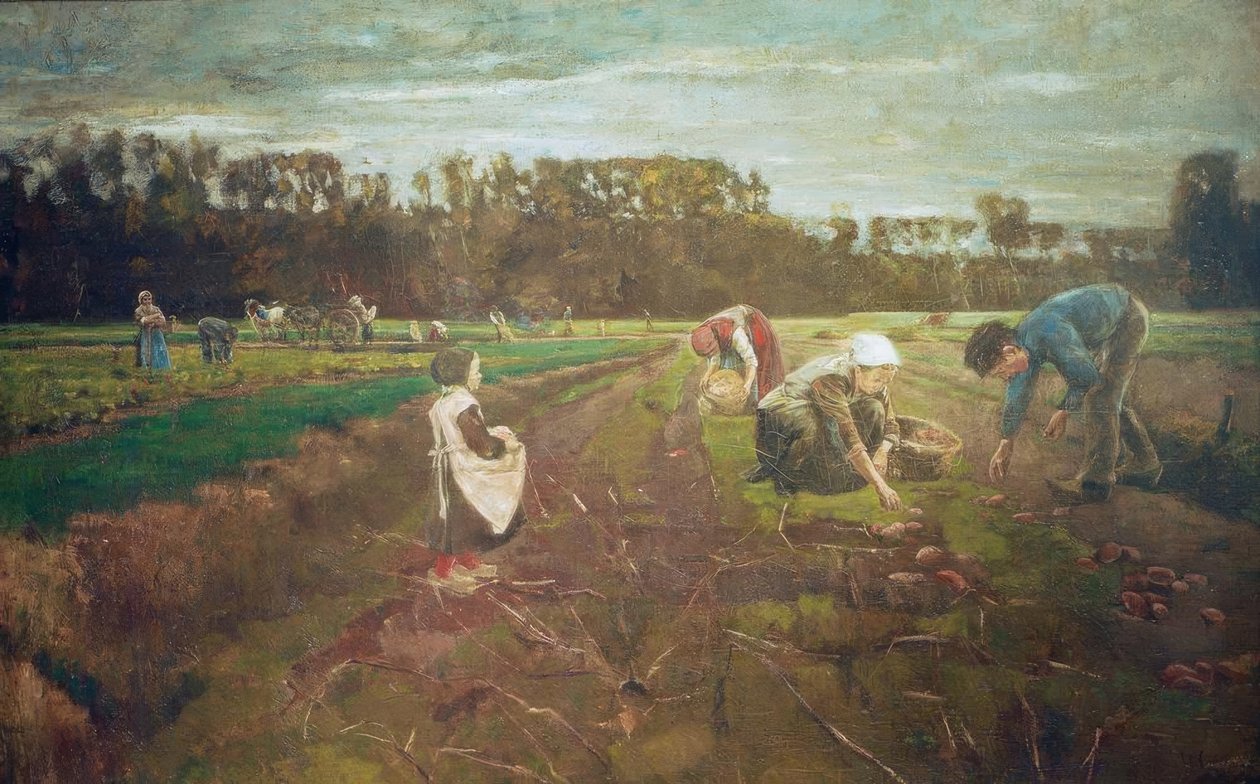 Kartoffelernte in Barbizon von Max Liebermann