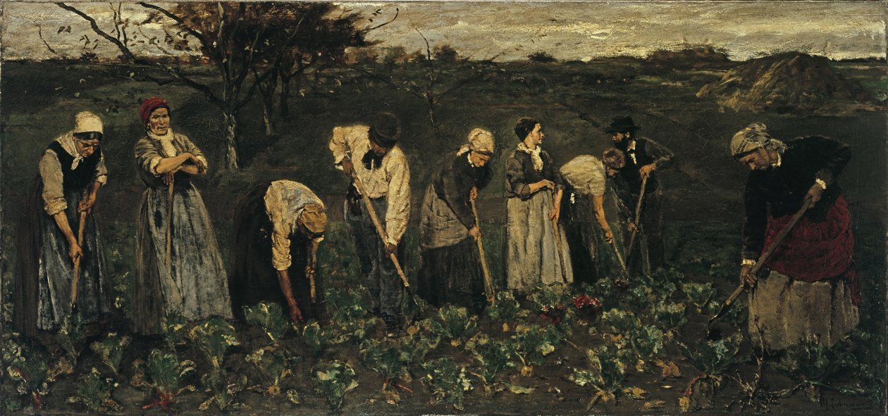 Arbeiter auf dem Zuckerrübenfeld von Max Liebermann