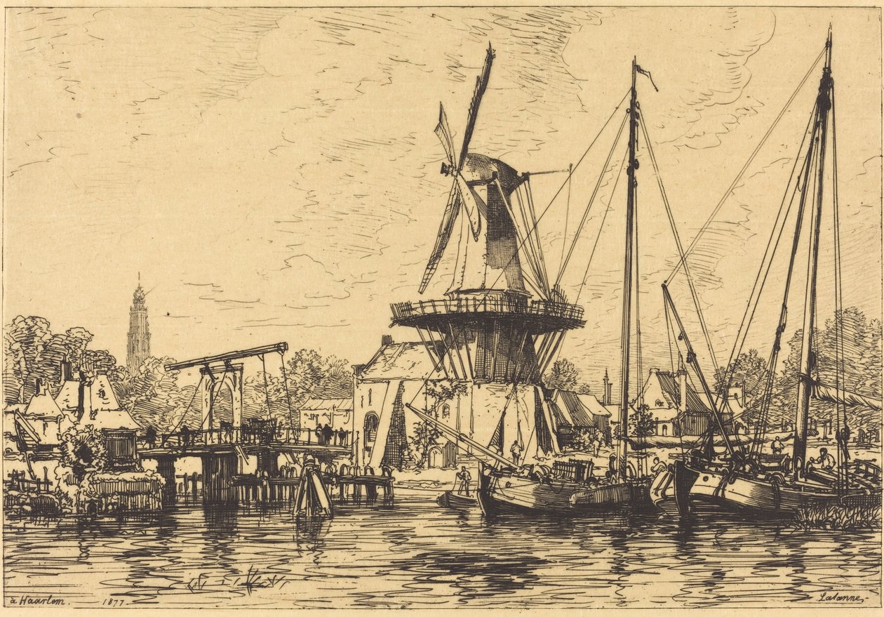 Ein Haarlem von Maxime Lalanne