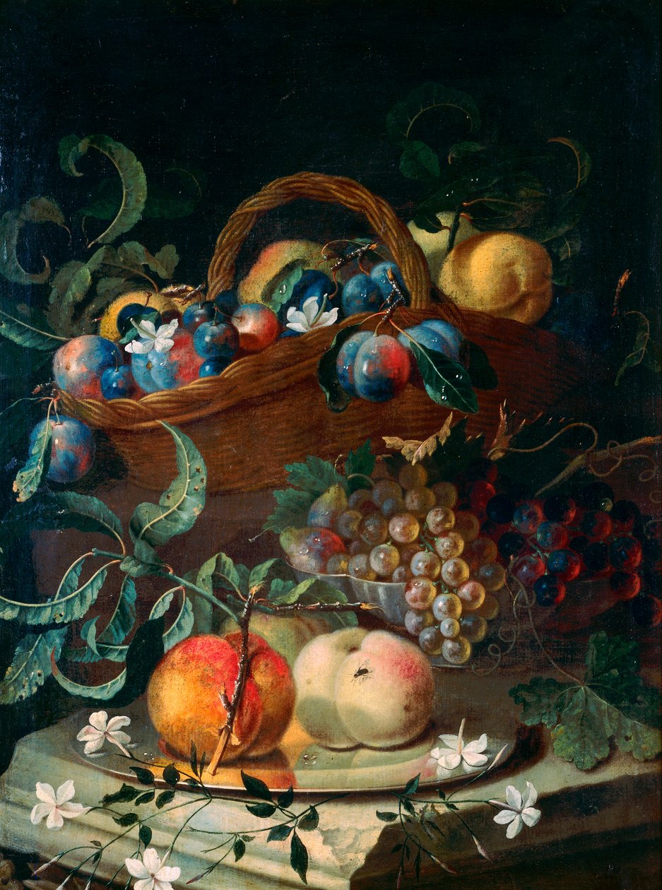 Früchte von Maximilian Pfeiler or Pfeiller