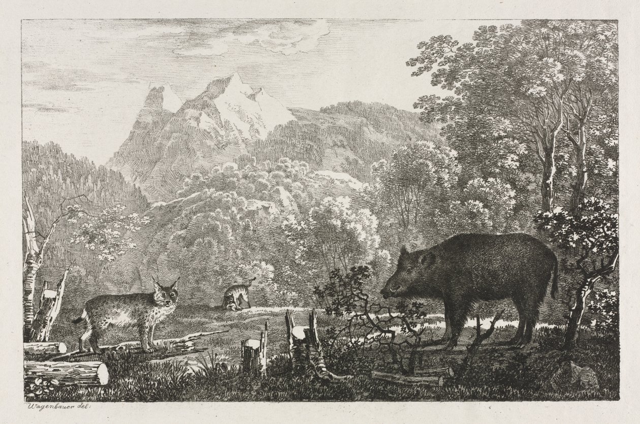 Wildschwein, Wildkatze und Luchs von Maximilian Josef Wagenbauer