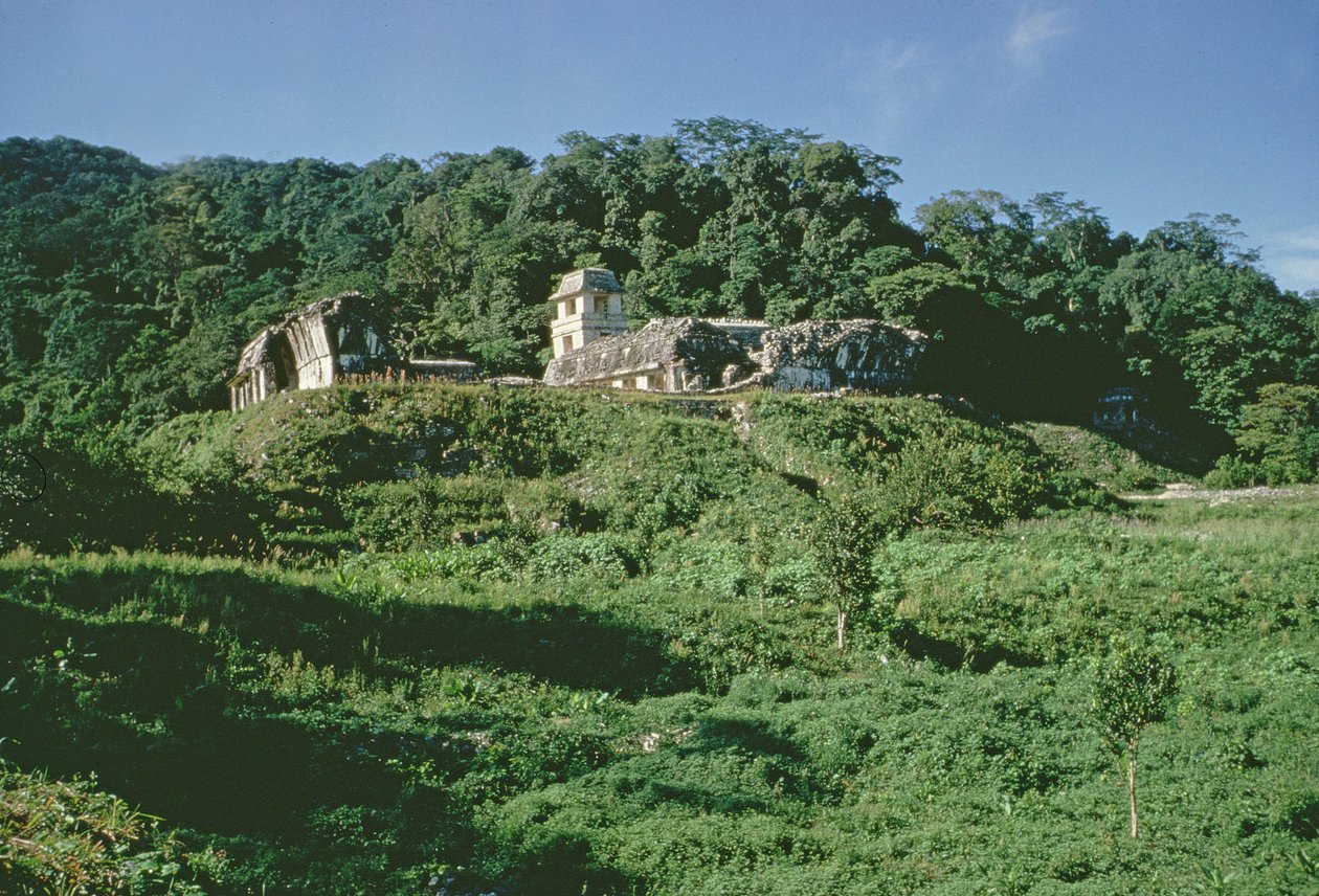 Palast und Observatorium auf einem Hügel, Maya, Späte Klassik von Mayan