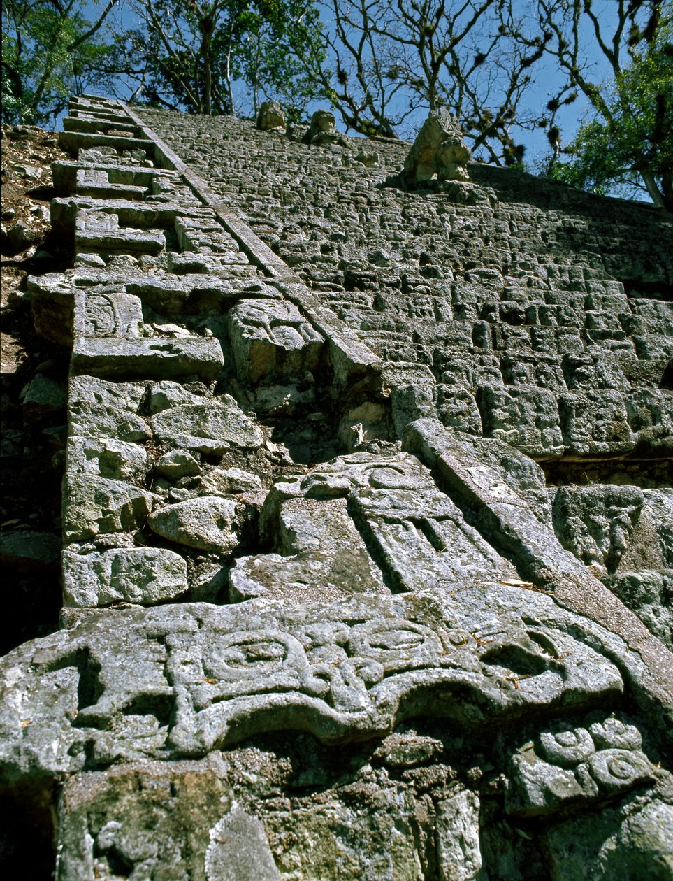Ansicht der Hieroglyphentreppe, 743 n. Chr. von Mayan