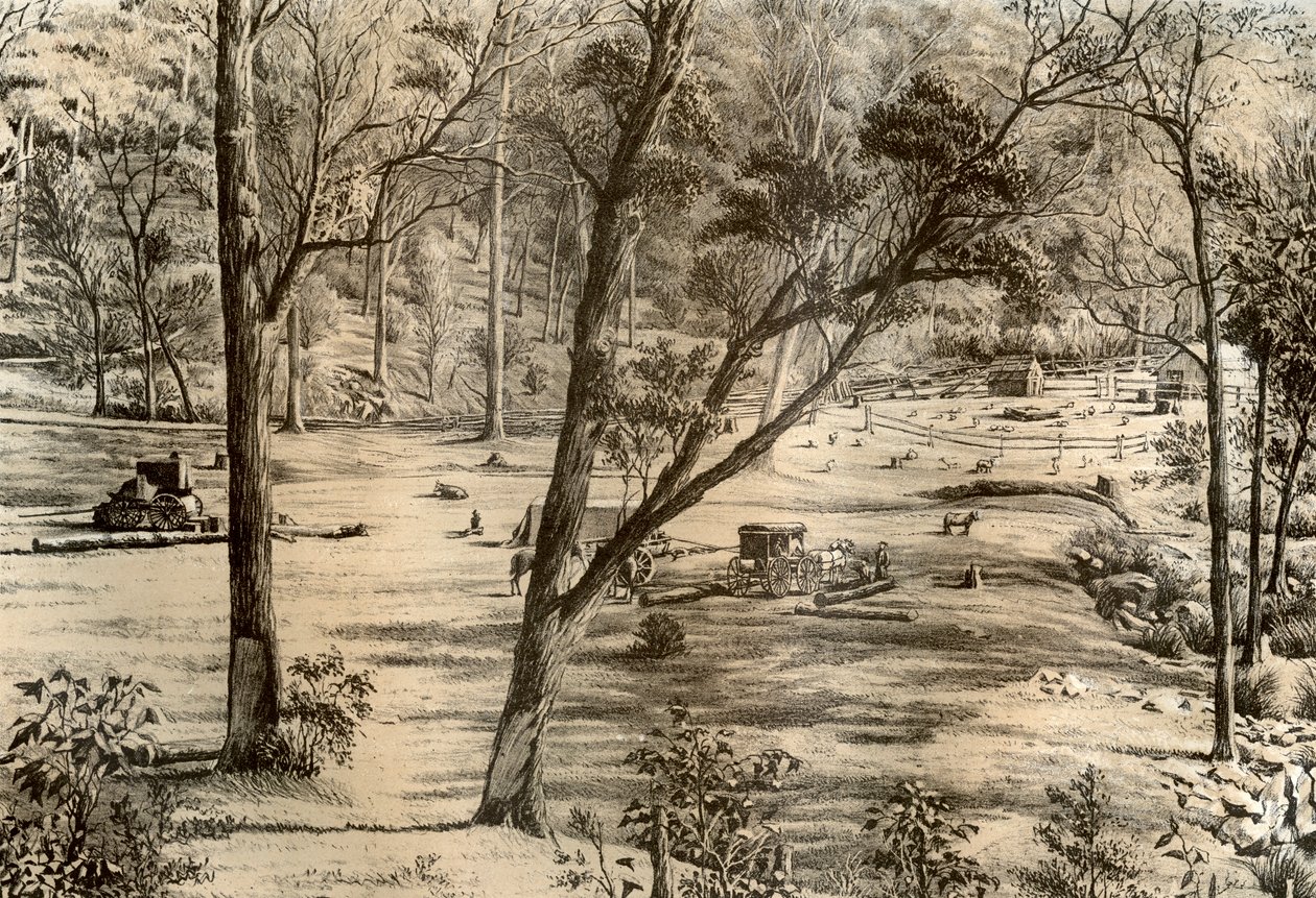 Hütte eines freien Selektors, Australien, 1879 von McFarlane and Erskine