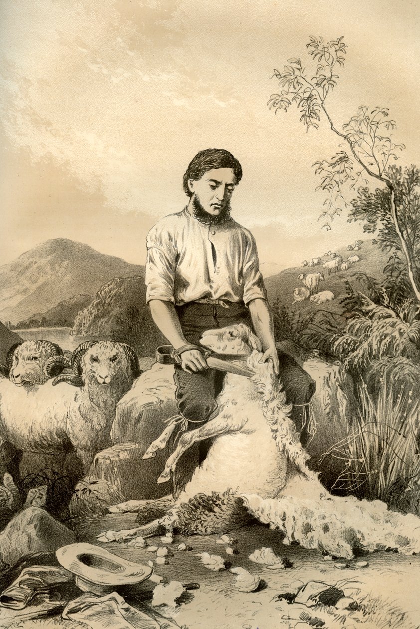 Schafschur, 1879 von McFarlane and Erskine