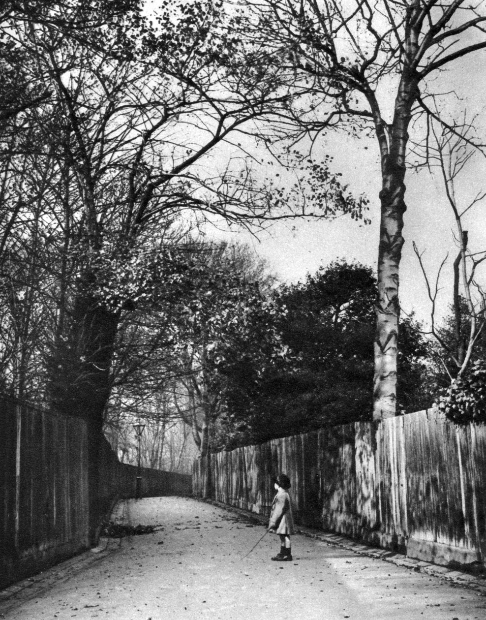 Herbstzeit in Holland Walk, London, 1926-1927 von McLeish